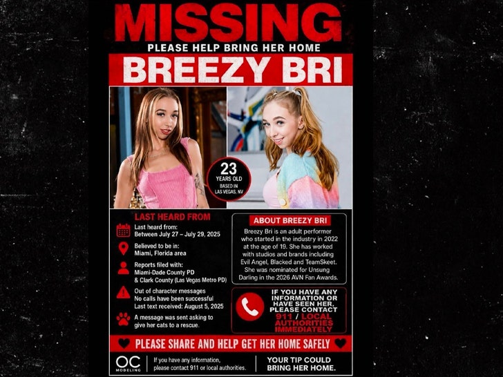 breezy bri missing poster
