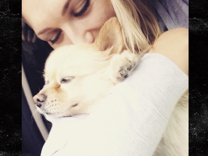 Brooke Hogan Finds Lost Dog Safe and Sound :: 0419-brooke-hogan-dog-return-1