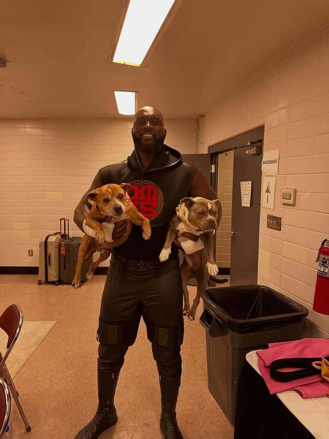 Sheamus Dog Betty 5