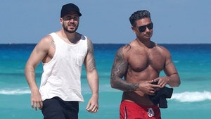 'Jersey Shore' Stars Pauly D and Vinny Shirtless and Ripped On Beach in Mexico