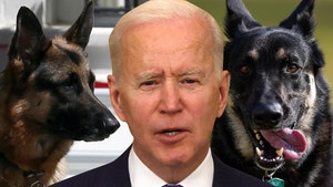 President Biden's Dog Major Nipped at Secret Service Agent's Hand