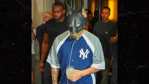 Drake Leaves Hotel in Dog Mask Before New York City Concert