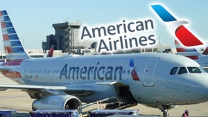 American Airlines Grounds All Flights on Christmas Eve Due to Technical Issue