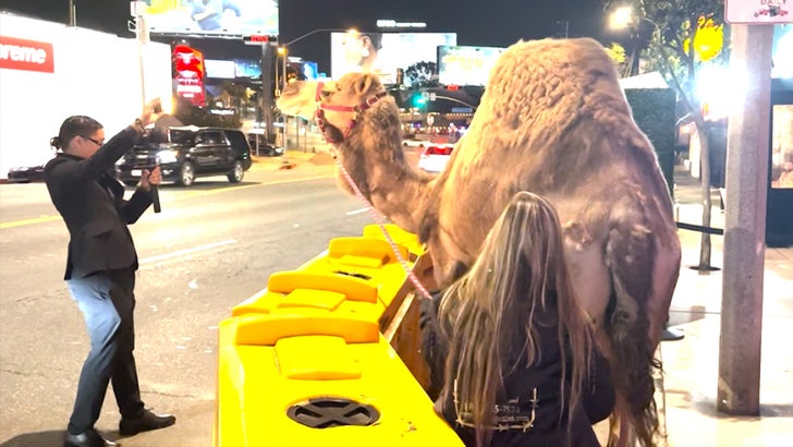 Lil Jon DJs The Sozahdahs Party en présence de python géant et de chameau