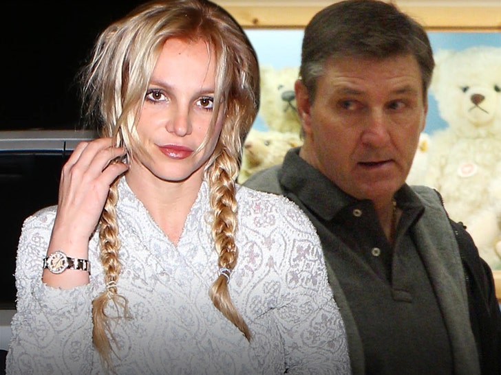 Britney Spears Father Jamie Remains As Co Conservator After Court Hearing The Spotted Cat