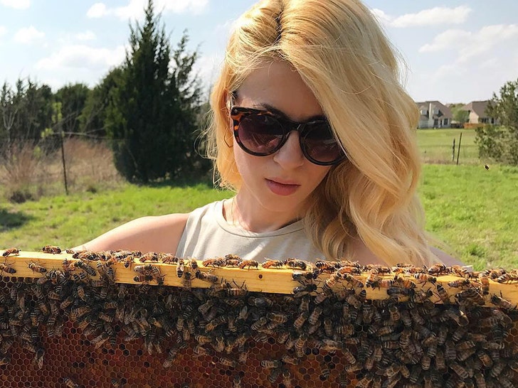 TikTok-Famous Beekeeper Erika Thompson Secretly Finalizes Divorce