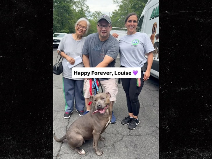 Louis el perro insta 2