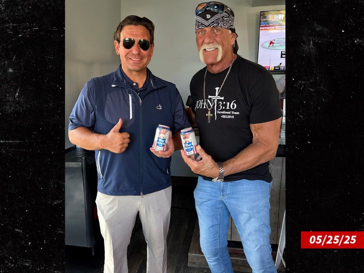 ron desantis hulk hogan x comp
