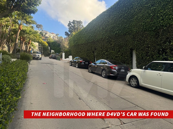Essa volta encontrou o D4 VDS Cars TMZ 1