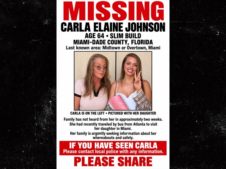woah vickyyy missing poster