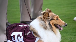 Reveille texas a and m getty 5