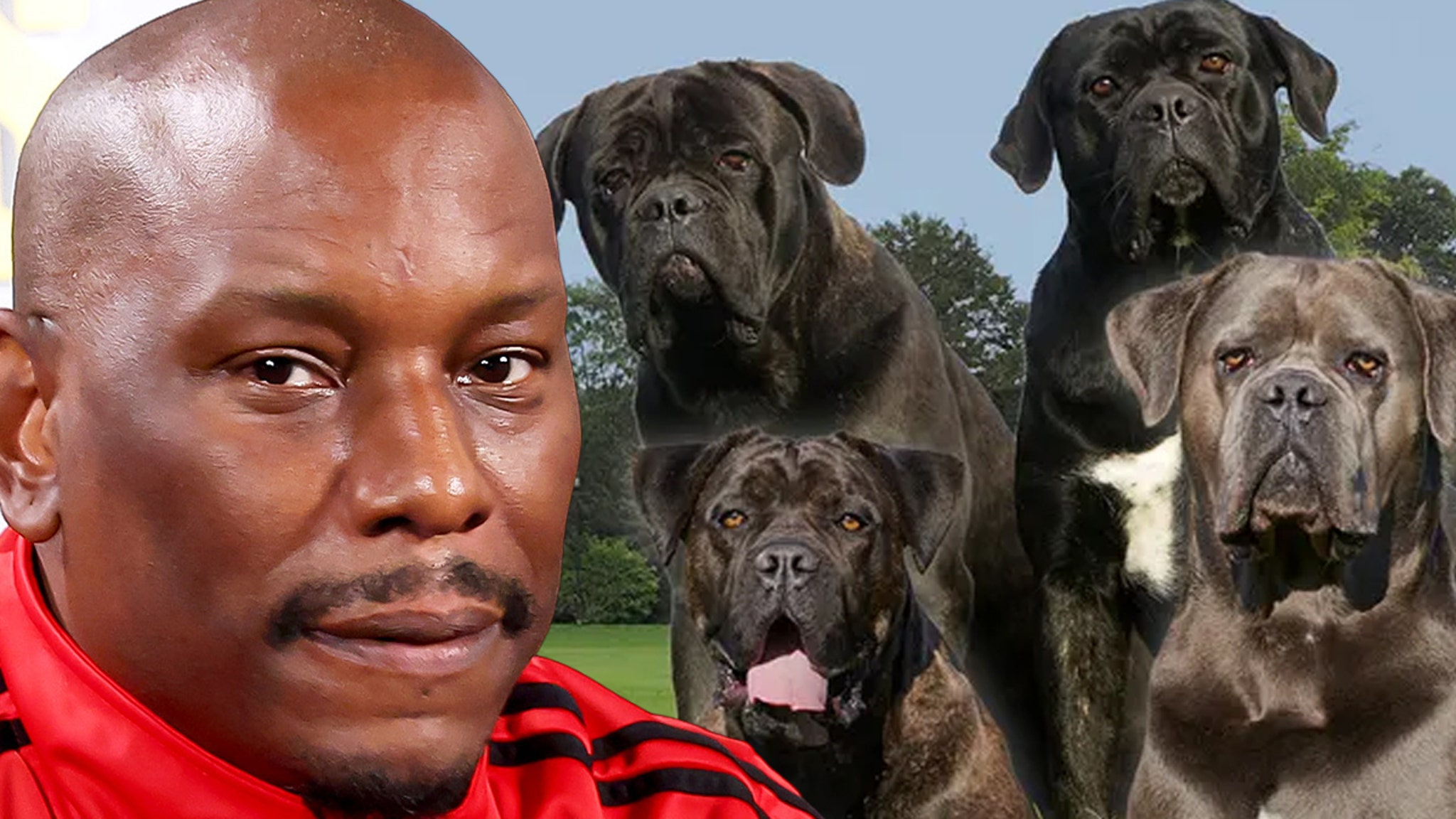 Tyrese: Cops Don’t Know Where His Killer Dogs Are
