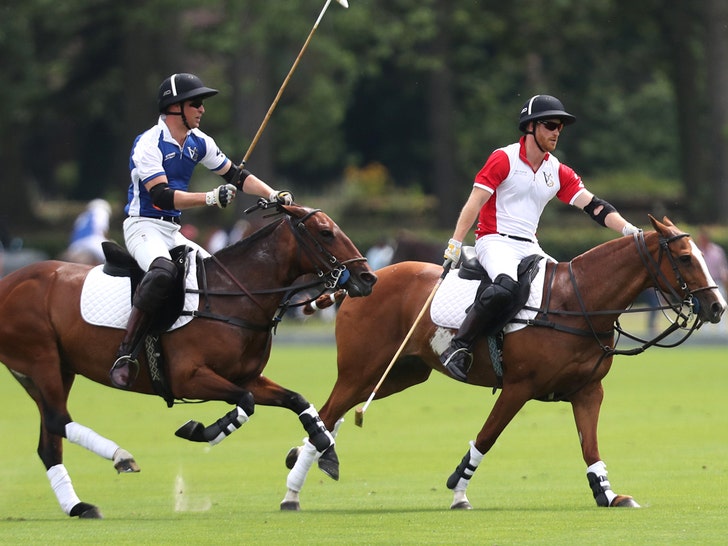 0710_Prince-Harry_Prince-william-King-Power-Royal-Charity-Polo-Day-getty