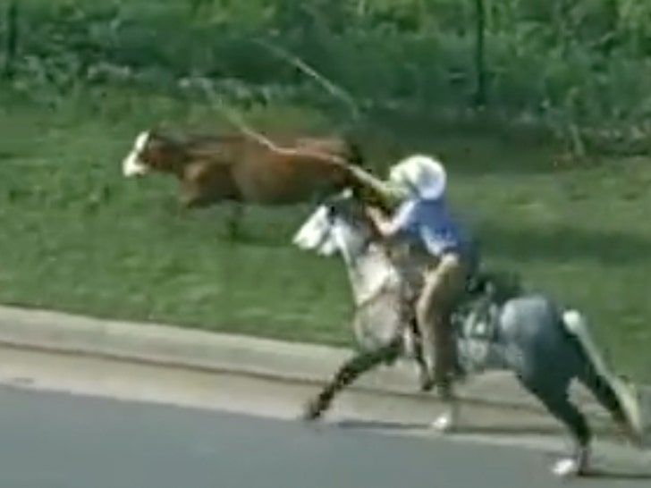 horse cow cowboy 2