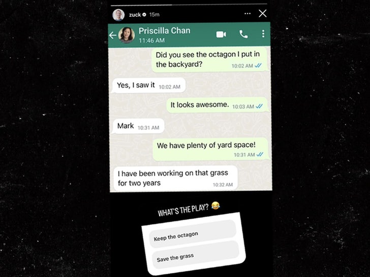 Priscilla Chan text