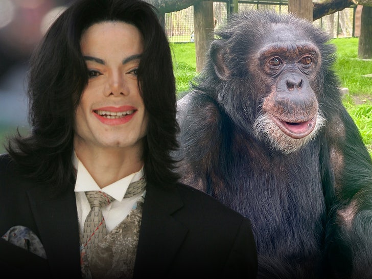 Michael Jackson Would Be Happy With Bubbles the Chimp’s Life, Says Sanctuary