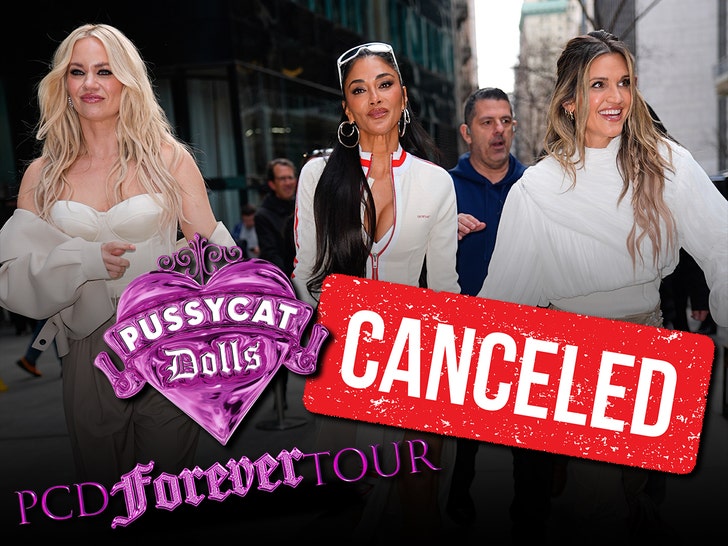 pussycat dolls tour canceled getty 1