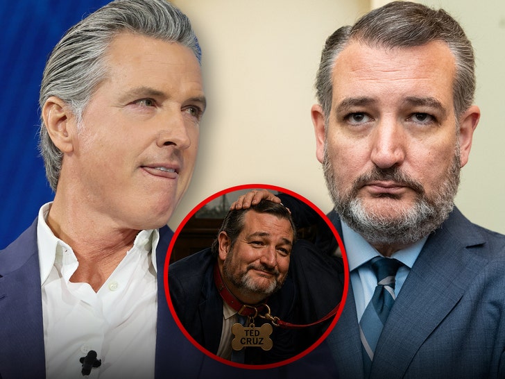 main-gavin-newsom-ted-cruz-getty-x-1