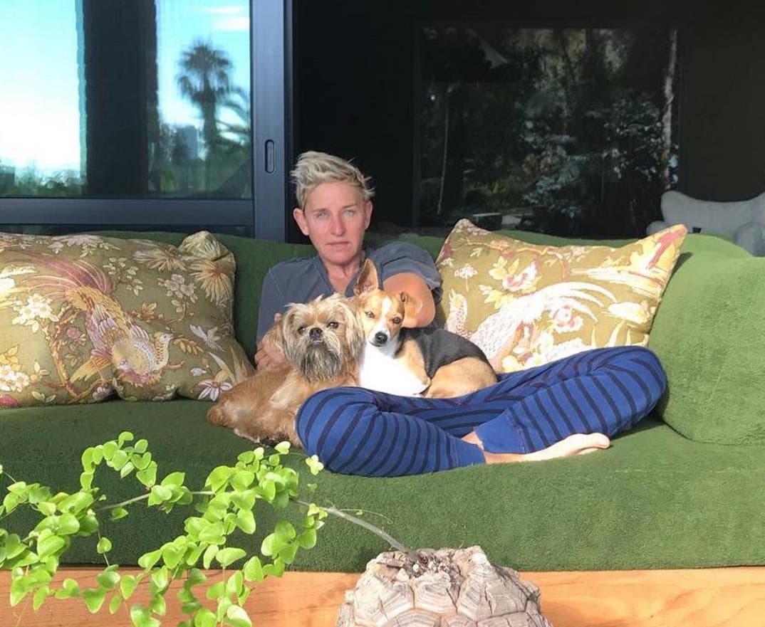 Ellen DeGeneres