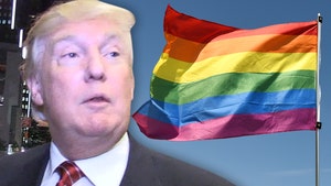 President Trump 'Honors' LGBT, Month After Transgender Military Ban