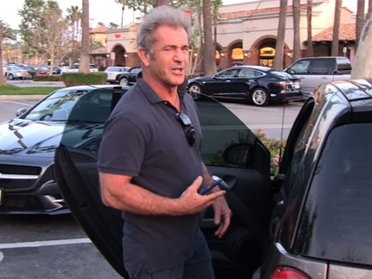 031515_mel_gibson_primary