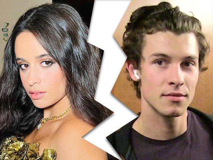 Camila Cabello And Shawn Mendes Announce Split