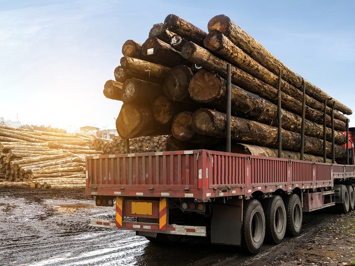 truck carrying log