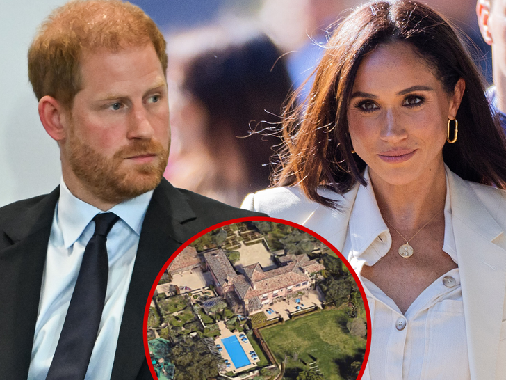 Prince Harry and Megan Markle Security Issue