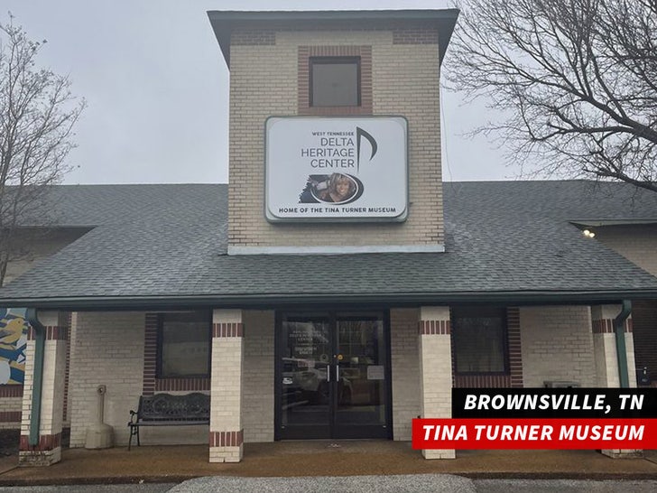 Tina Turner Brownsville Tennessee