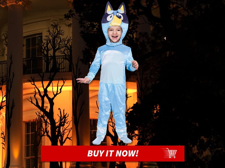 Bluey-Classic-Toddler-Costume-MAIN