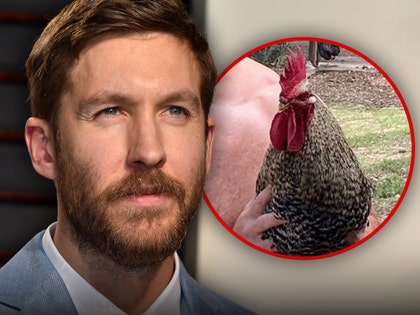 calvin-harris-getty-ig-1