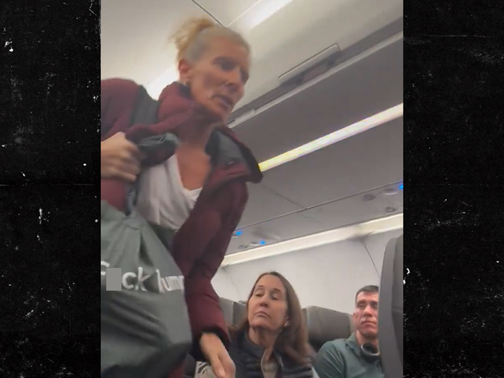 american airlines passenger f trump sub x