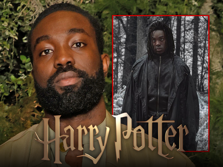 Paapa Essiedu harry potter main getty hbo. max sub