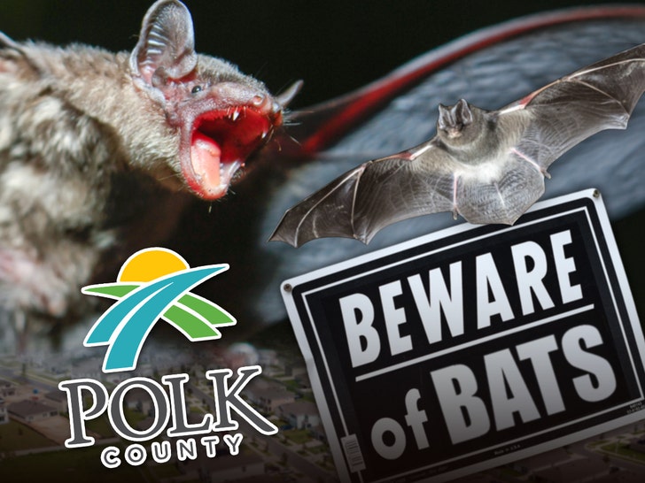 beware of bats polk county florida getty 1