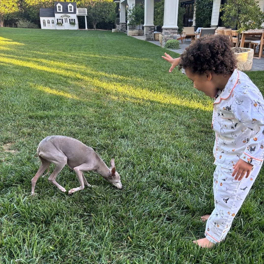 Kylie Jenner Norman Dog 9