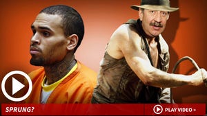 Chris Brown -- Action Hero Attorney Launches Get Out of Jail Plan