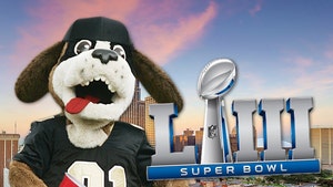 Saints Fans Party for #BoycottBowl Ahead of Super Bowl LIII