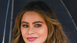 Sofia Vergara's Ex Can't Use Embryos Without Her Consent, Court Rules