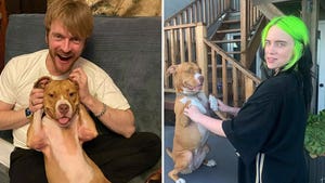 Finneas With His Cute Pup Peaches