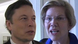 Elon Musk Calls Elizabeth Warren 'Sen. Karen,' She Blasts His Person of Year Honor
