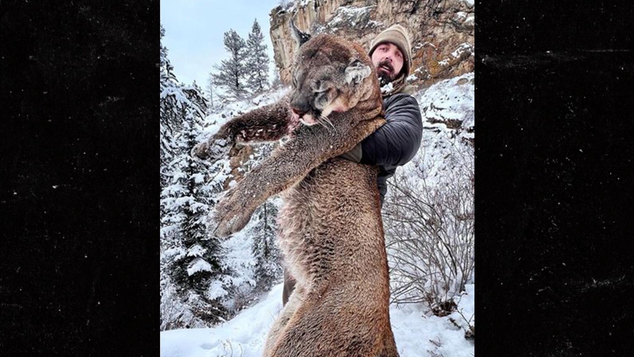 Колишній гравець НФЛ Дерек Вулф полює і вбиває величезного гірського лева в Колорадо