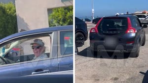 Gary Busey Allegedly Involved In Hit-And-Run, Woman Records Confrontation on Video