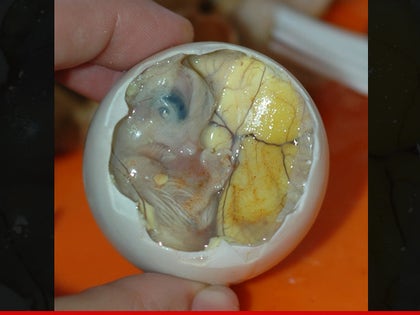 0206-balut-embryo-yolk