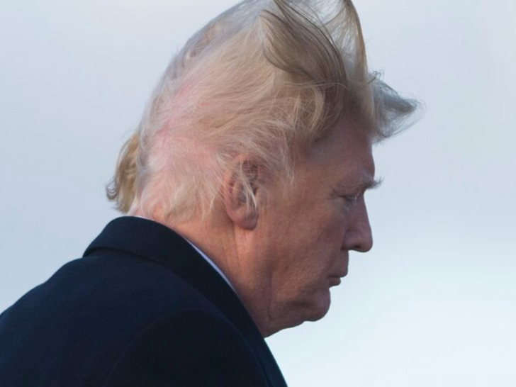 Trump's Hair-Raising Photos