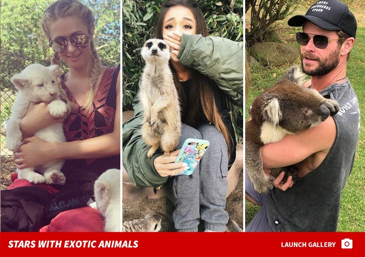 Wildin' Out Celebs With Exotic Animals