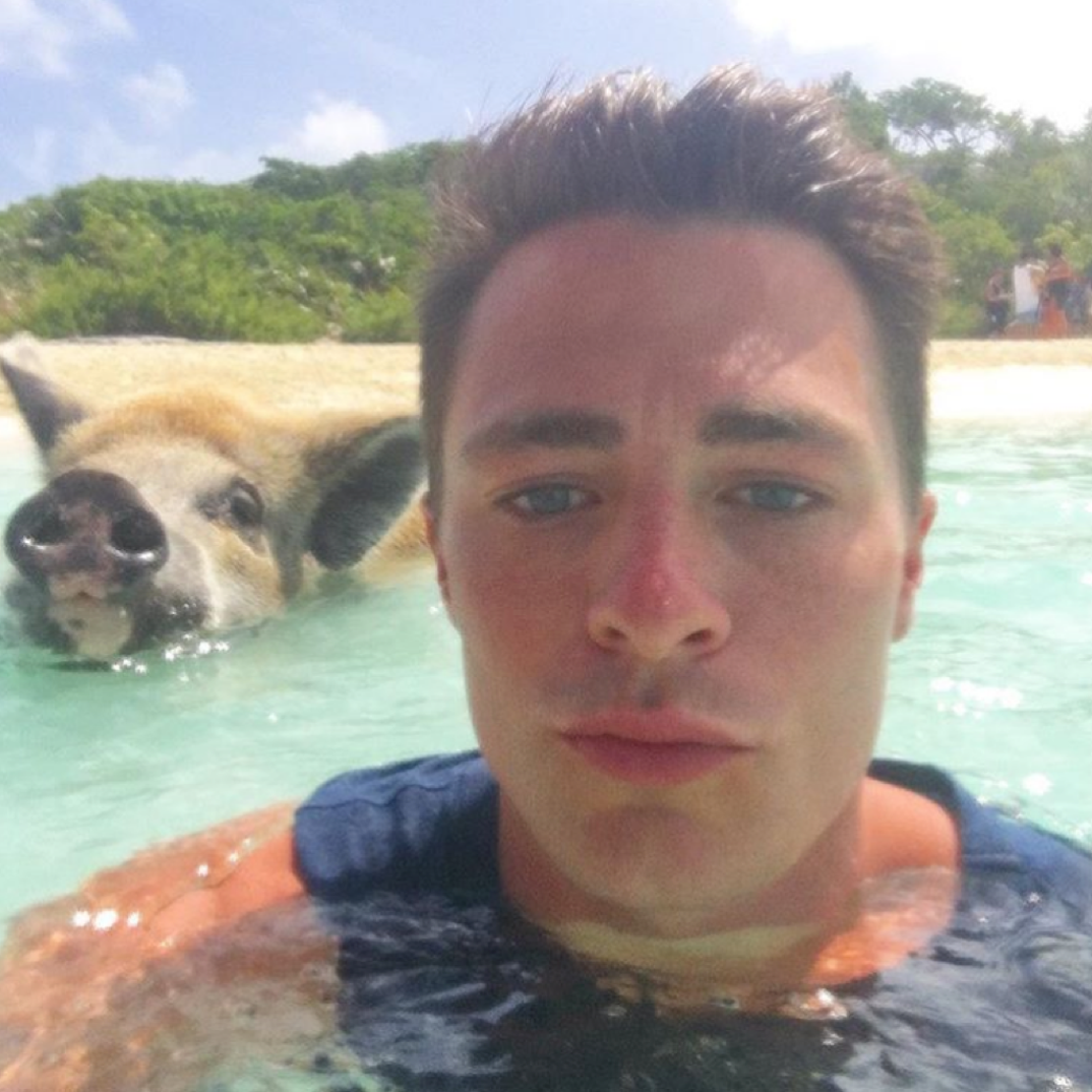Colton Haynes