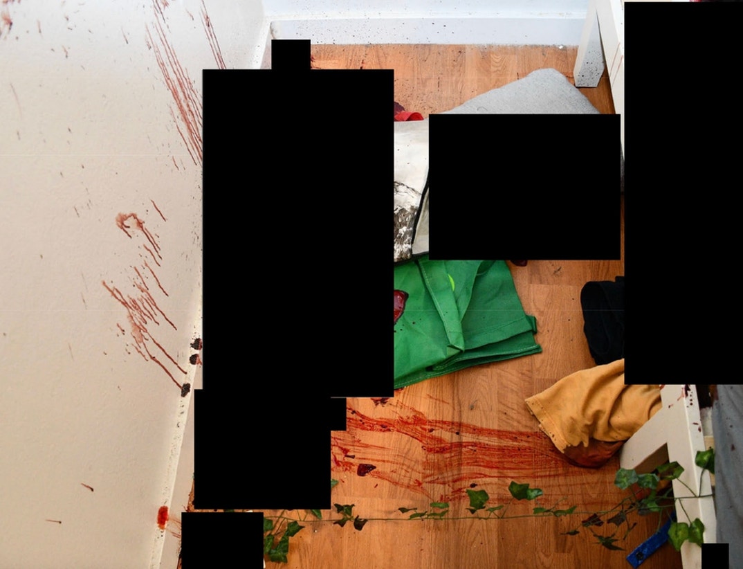 Bryan Kohberger Graphic Crime Scene Photos 18