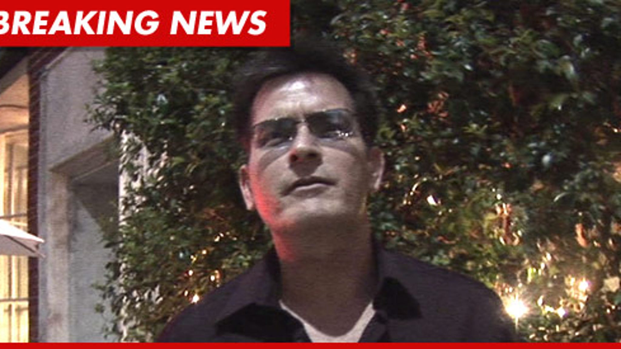 Charlie Sheen Anger Management Show Picked Up By Fx 