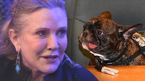 Carrie Fisher's Beloved Dog Gary Caught in Emotional Tug of War