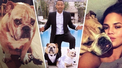 chrissy-teigen_clips